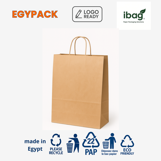 TWISTED HANDLE KRAFT PAPER BAG – 80gsm – 26+14×33cm (Medium) – Pack of 50 pcs